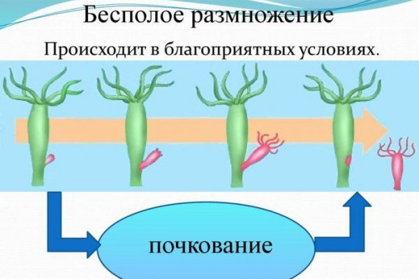 Клир ссылка на кракен 2025