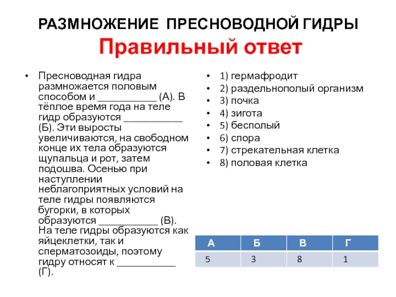 Официальный сайт даркнет